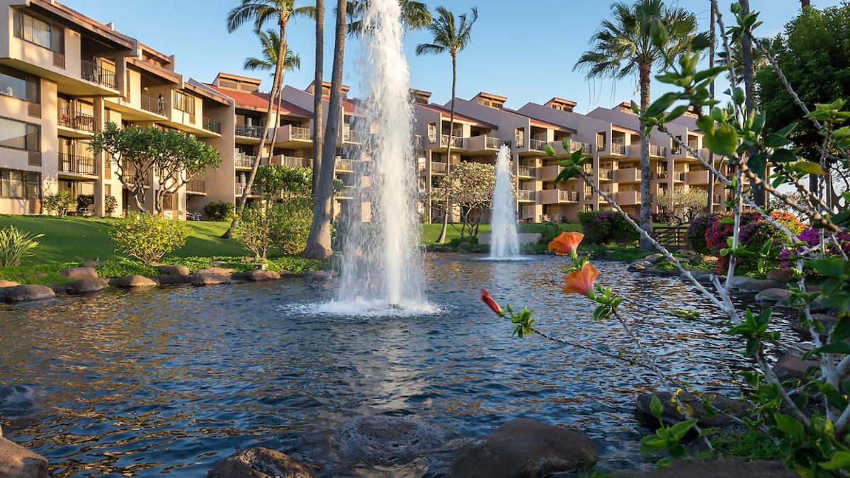 **Newly Remodeled** Steps To Kamaole 3 Beach! Wailea  Zewnętrze zdjęcie